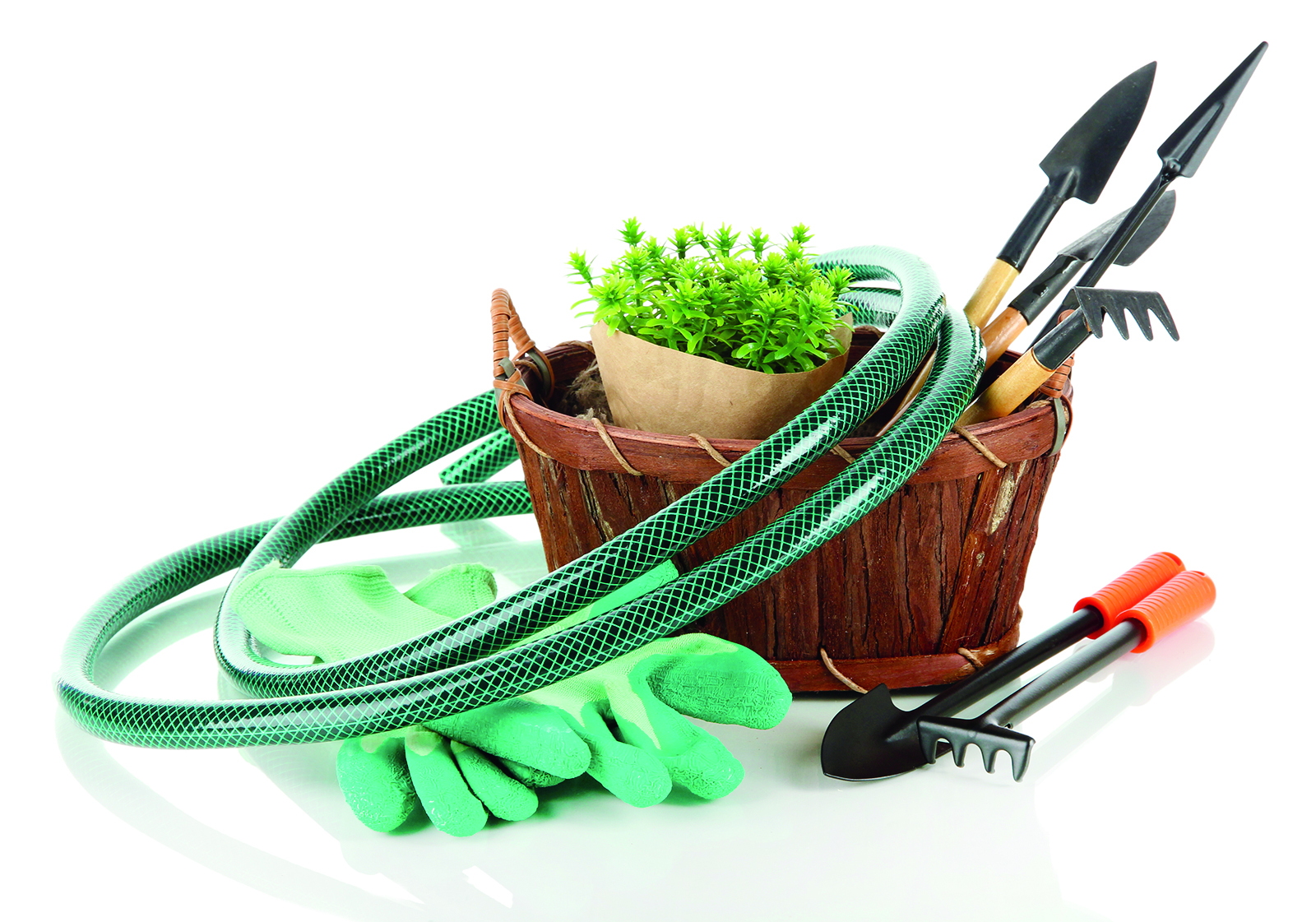 7 outils et accessoires indispensables pour le jardinier débutant