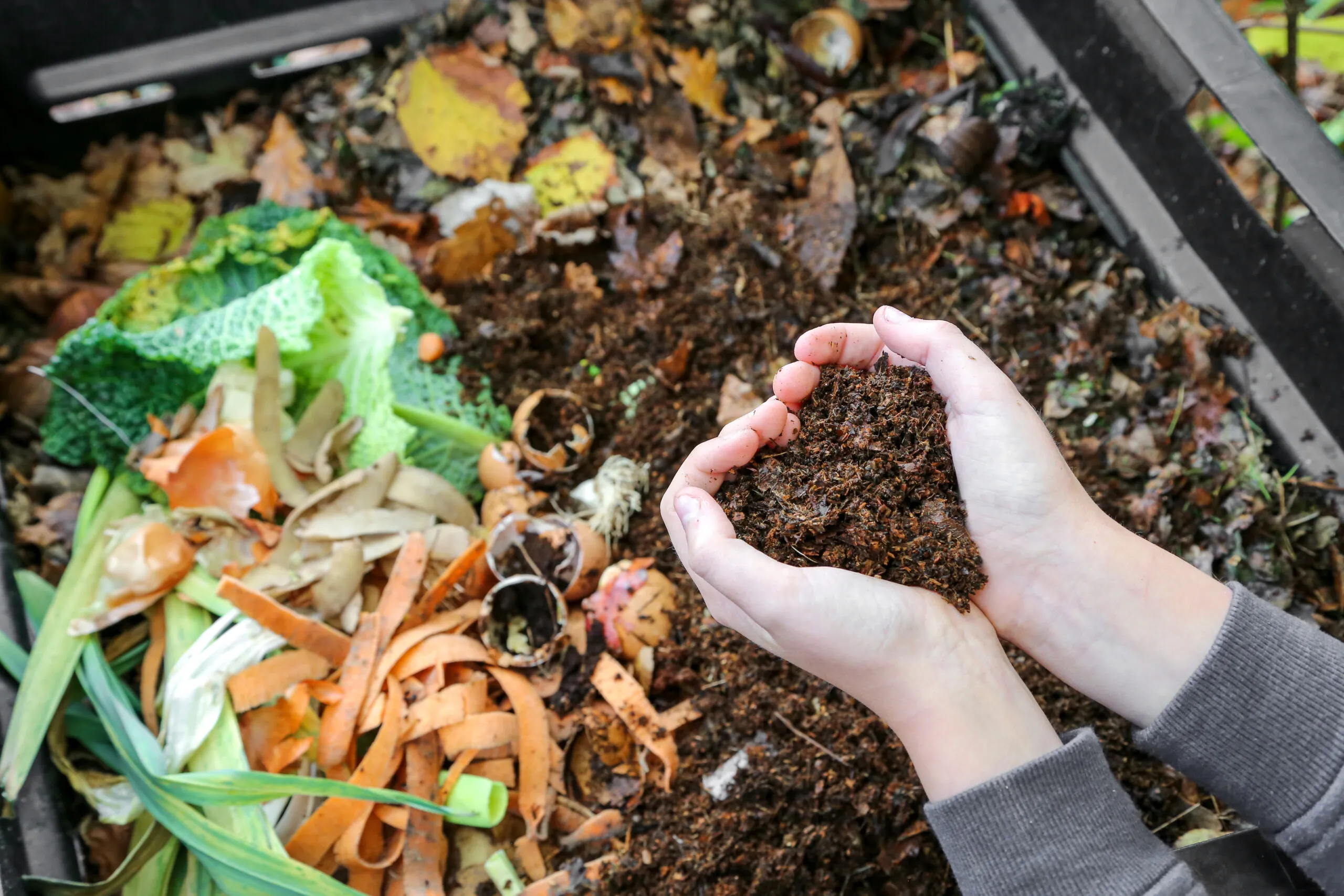 Ma quête pour réduire mon empreinte écologique :  Les avantages du compostage