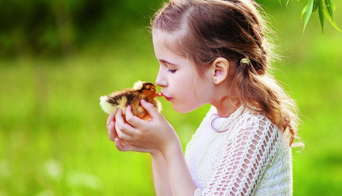 Little girl holding a cute duckling in the hands. Copy space