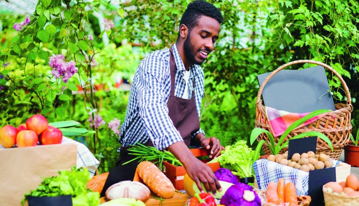 African American salesman putting fresh organic vegetables on table at farm sale