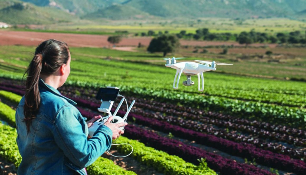 young technical women flying a drone on a lettuces field