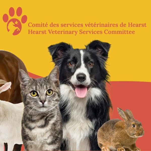 Le comité des services vétérinaires se mobilise pour l’avenir des animaux