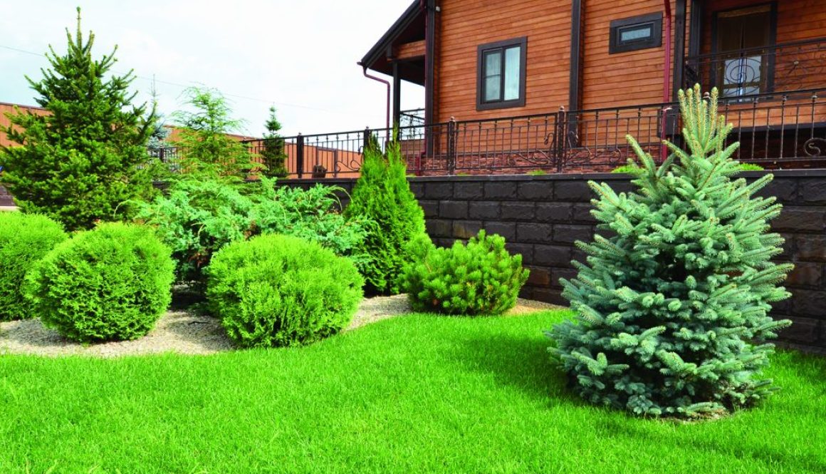 Landscape design on the site of a country house. Russia.A wooden