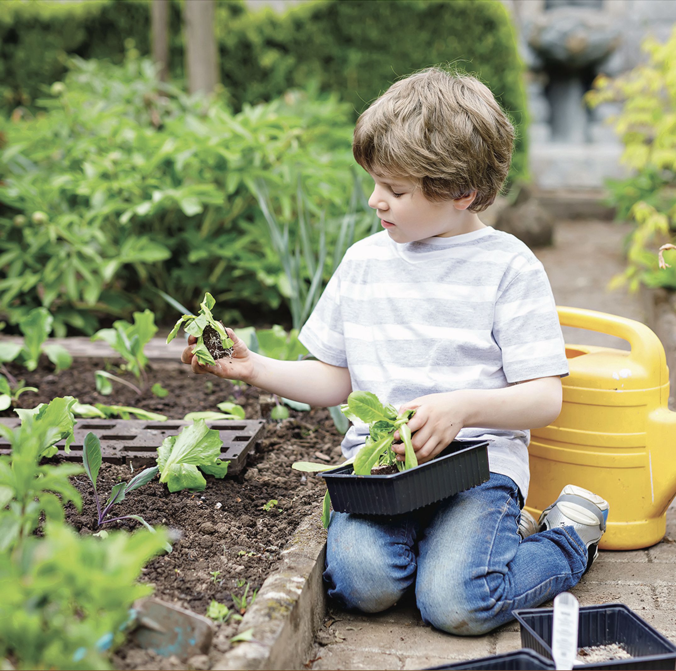 7 tâches que les enfants peuvent faire au jardin
