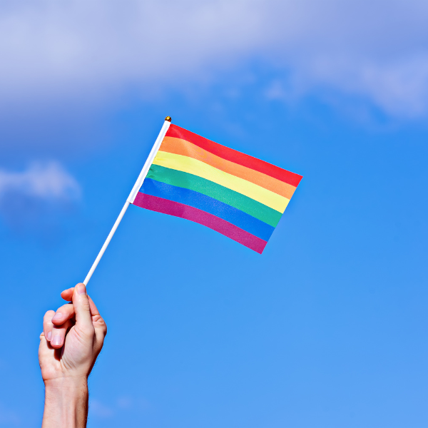 Pour ou Contre le drapeau de LGBTQ+