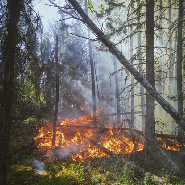 Guy Bourgouin estime que les conservateurs alimentent la crise des feux de forêt
