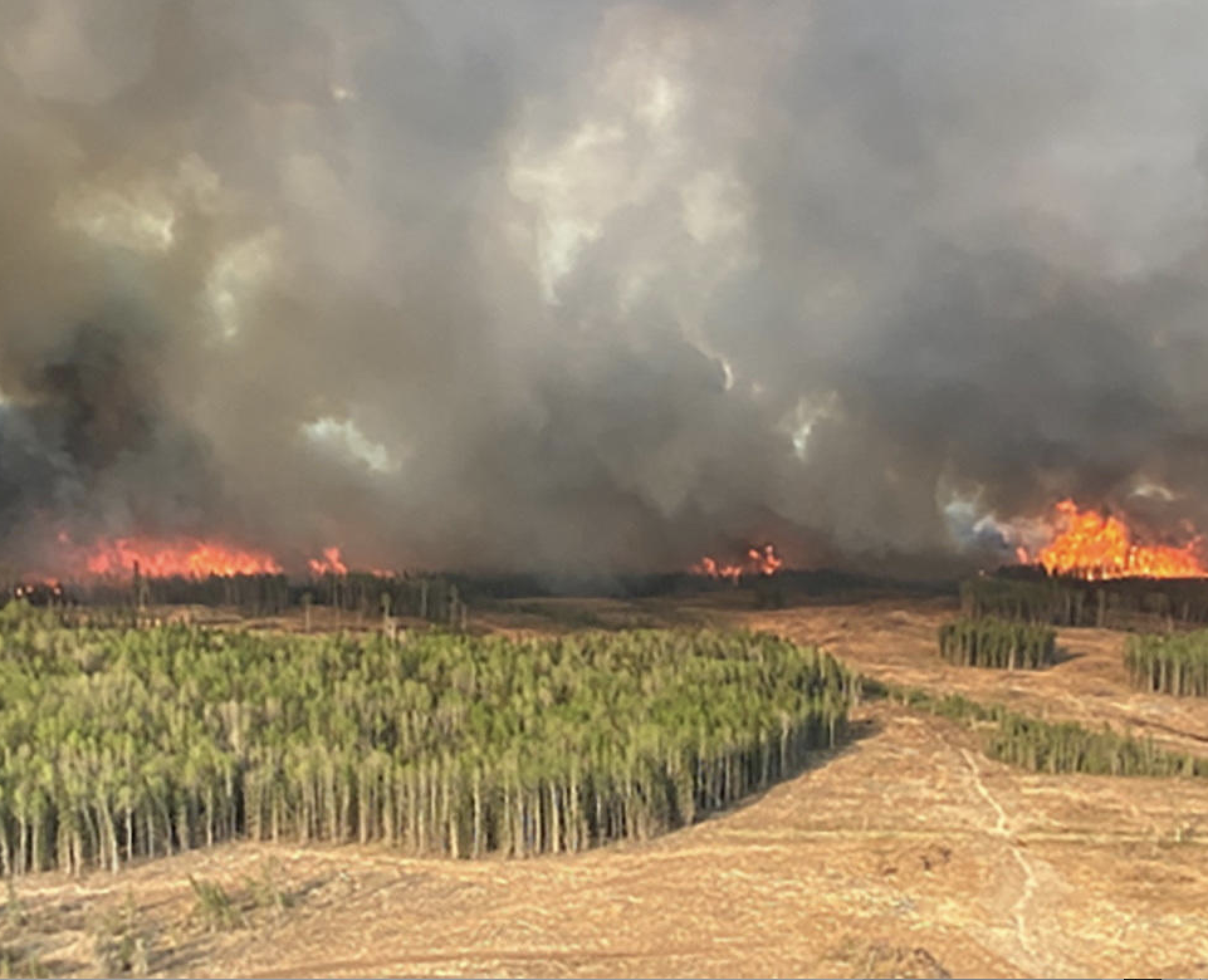 Sommes-nous prêts à intervenir en cas d’une urgence due aux feux de forêt ?