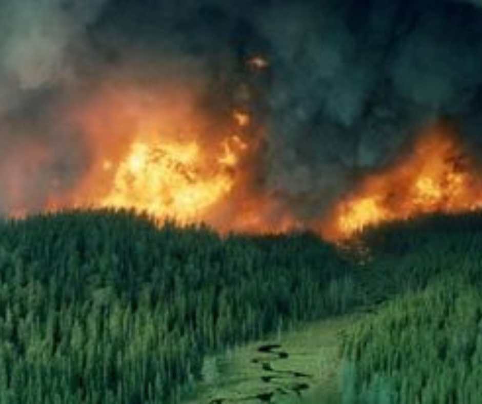 Dans le temps comme dans le temps : les feux de forêt de 1947 dans la région de Hearst