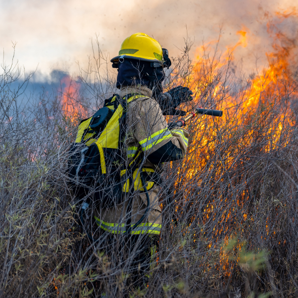 Union pour exiger la reconnaissance des pompiers forestiers